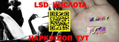 mdpv Славгород