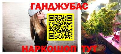 mdpv Славгород