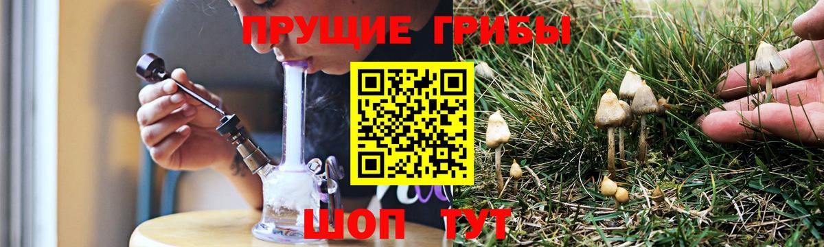 Галлюциногенные грибы MAGIC MUSHROOMS  Вход с VPN  Брянск  Галлюциногенные грибы мухоморы 